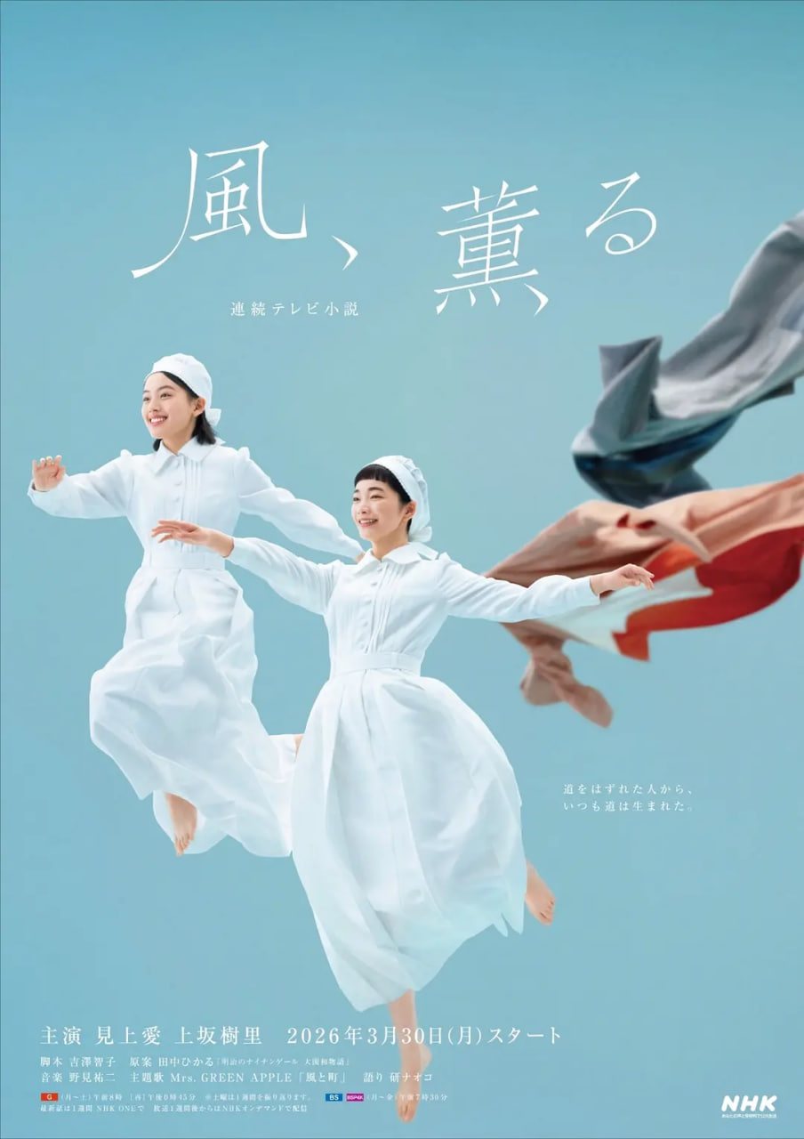风,带有香气——那金花和她的女婿电视剧