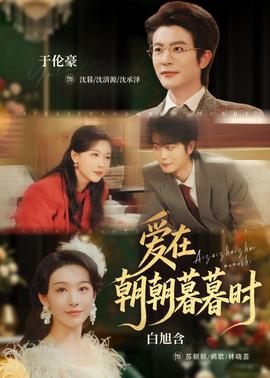 爱在朝朝暮暮时——电视剧离婚律师