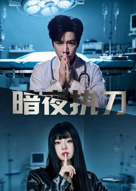 暗夜执刀——小巷人家40集全免费高清下载