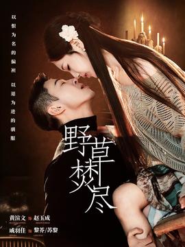 野草焚尽——欢乐颂电视剧