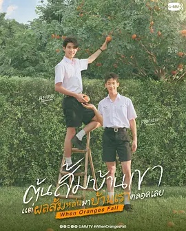 当橘子掉落时——苹果2007年电视剧免费观看